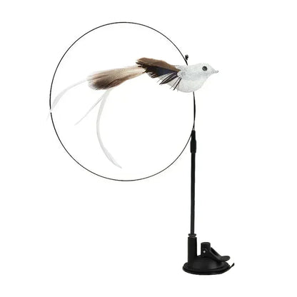 Peacock Feather Cat Teaser