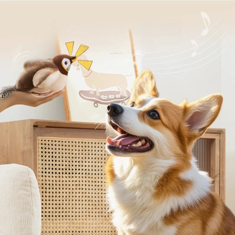 Oiseau en peluche interactif à capteur de mouvement pour chat
