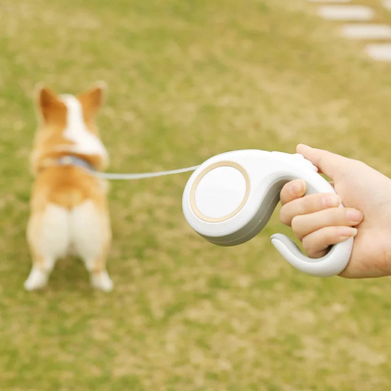 Adjustable automatic leash for dogs – Pawspire store