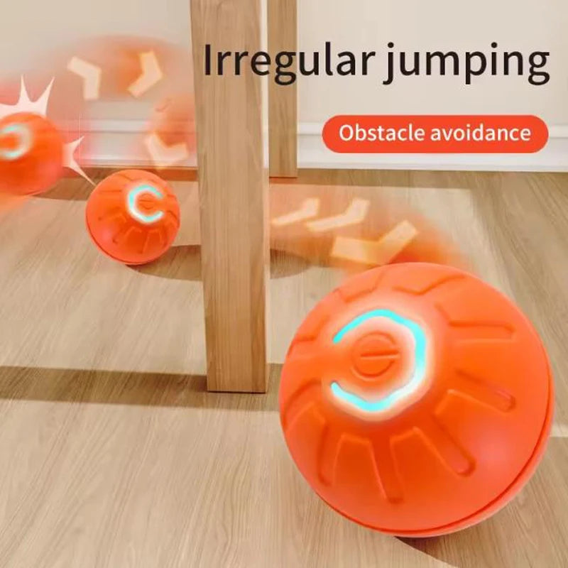 Balle interactive automatique pour animaux, vue de détail