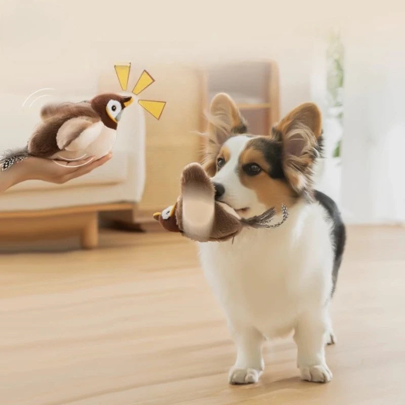 Ailes battantes de l'oiseau en peluche pour chat