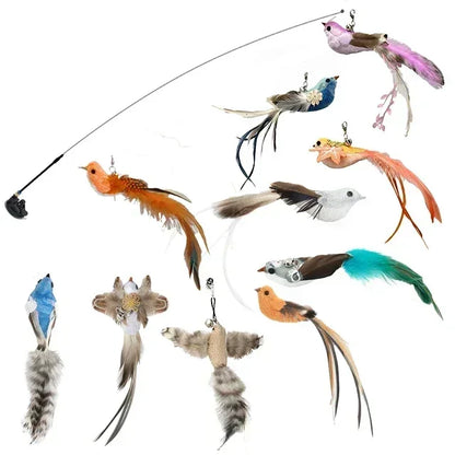 Peacock Feather Cat Teaser