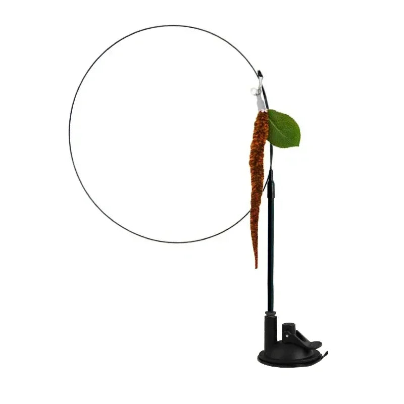 Peacock Feather Cat Teaser
