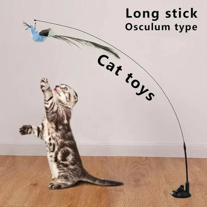 Peacock Feather Cat Teaser – Pawspire