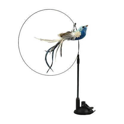 Peacock Feather Cat Teaser