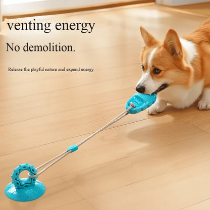 Suction Cup Dog Chew Toy