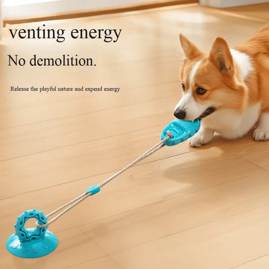 Suction Cup Dog Chew Toy