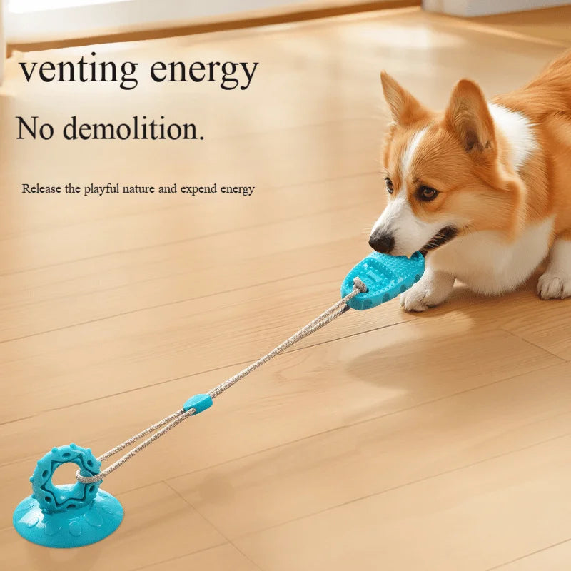 Jouet à mâcher à ventouse pour chien