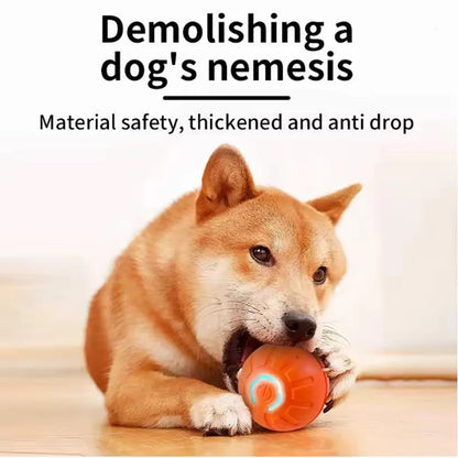 Automatic Interactive Pet Ball
