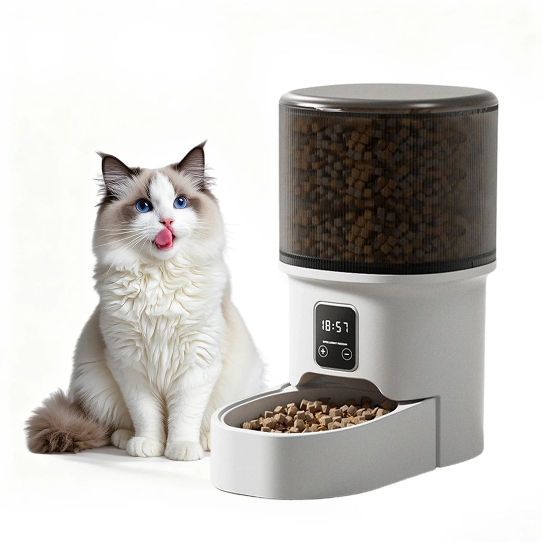 Distributeur de croquettes automatique programmable 4 L pour chat et petit chien