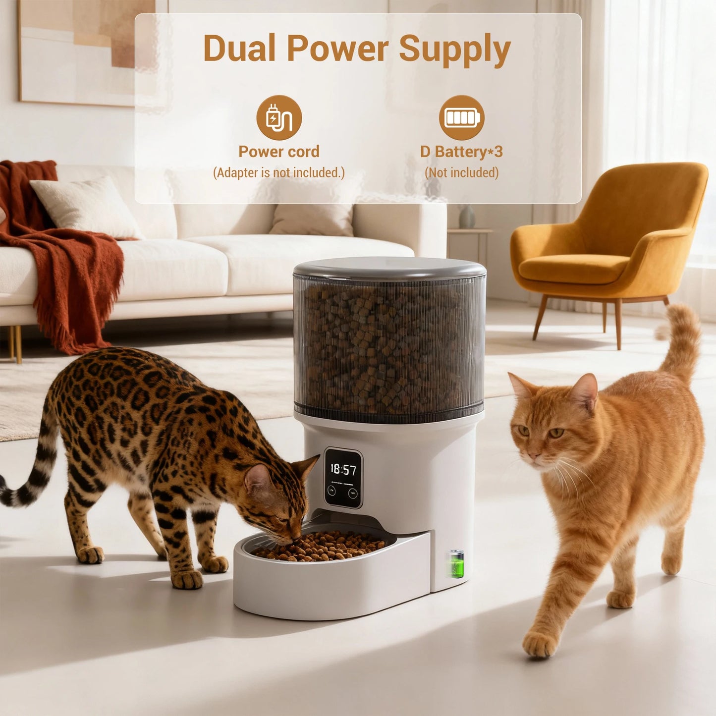4L Automatic Pet Feeder