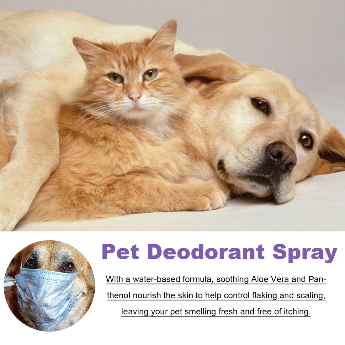 Spray anti-odeurs longue durée pour animaux, 50 ml