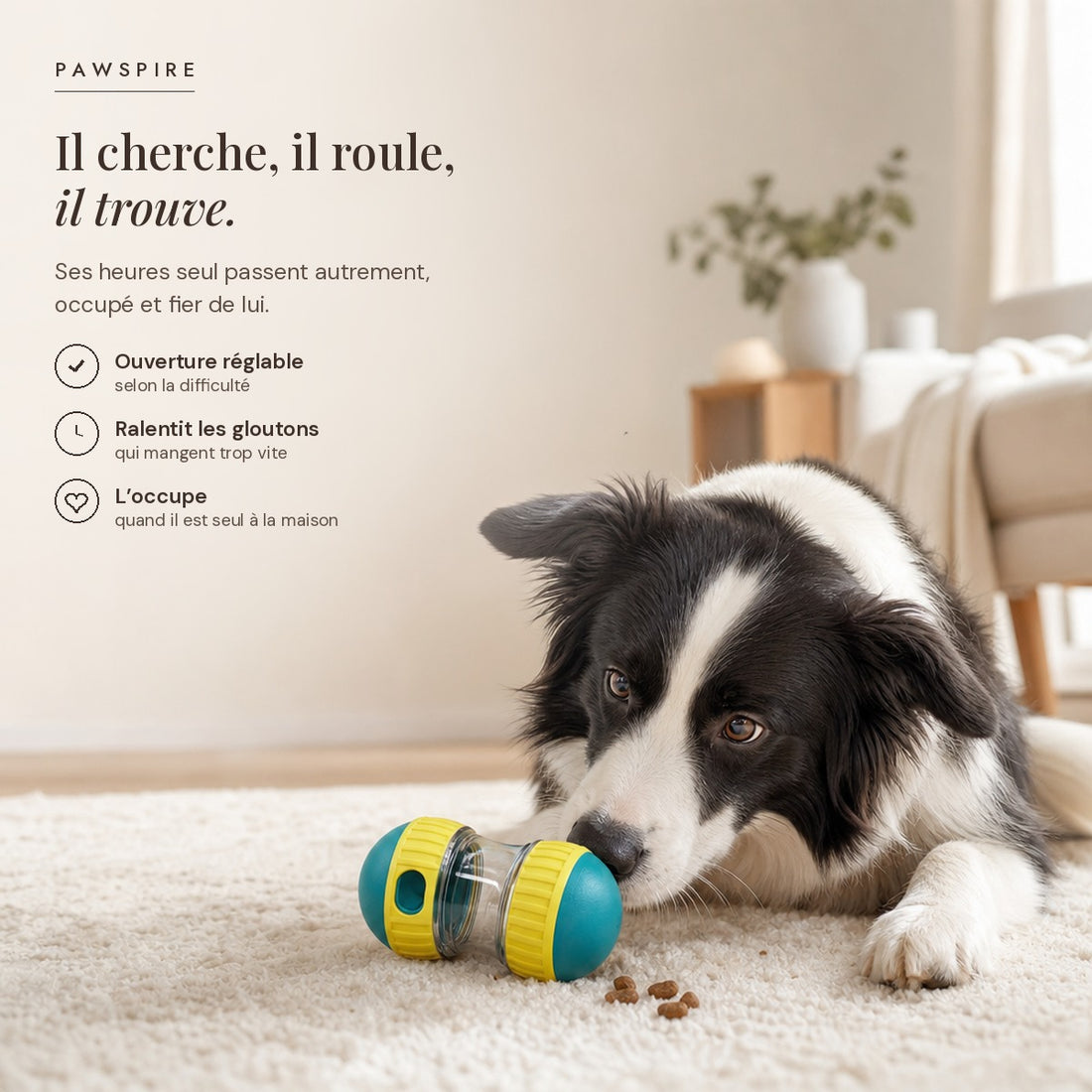 Balle distributrice de friandises Pawspire