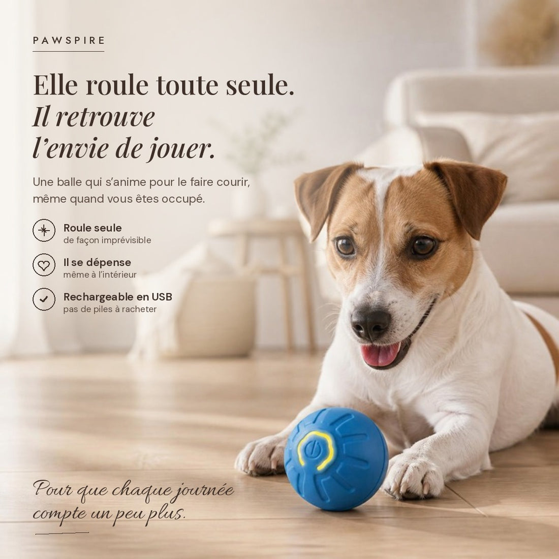 Balle interactive automatique Pawspire, image principale