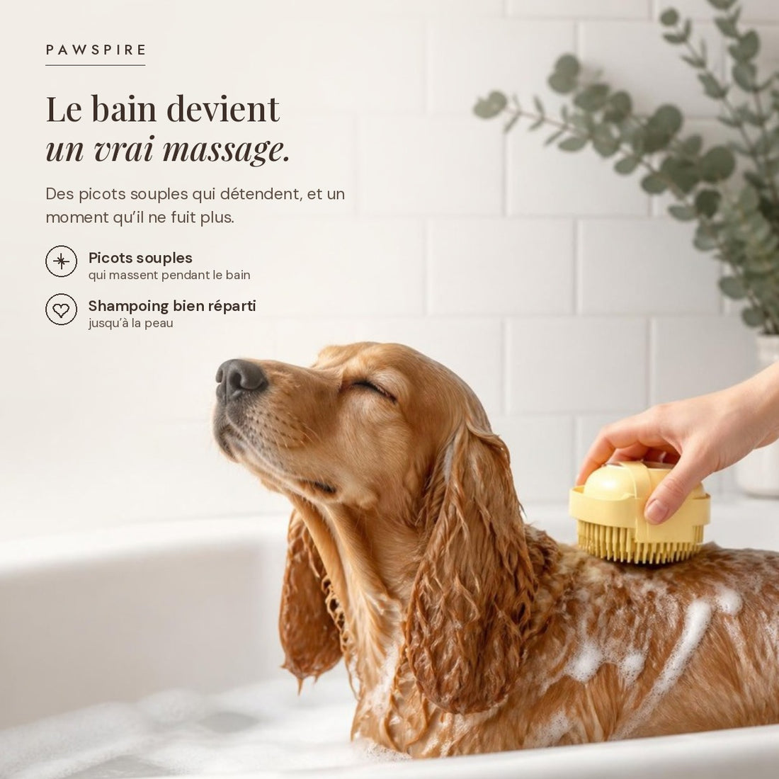Brosse de bain en silicone Pawspire, image principale