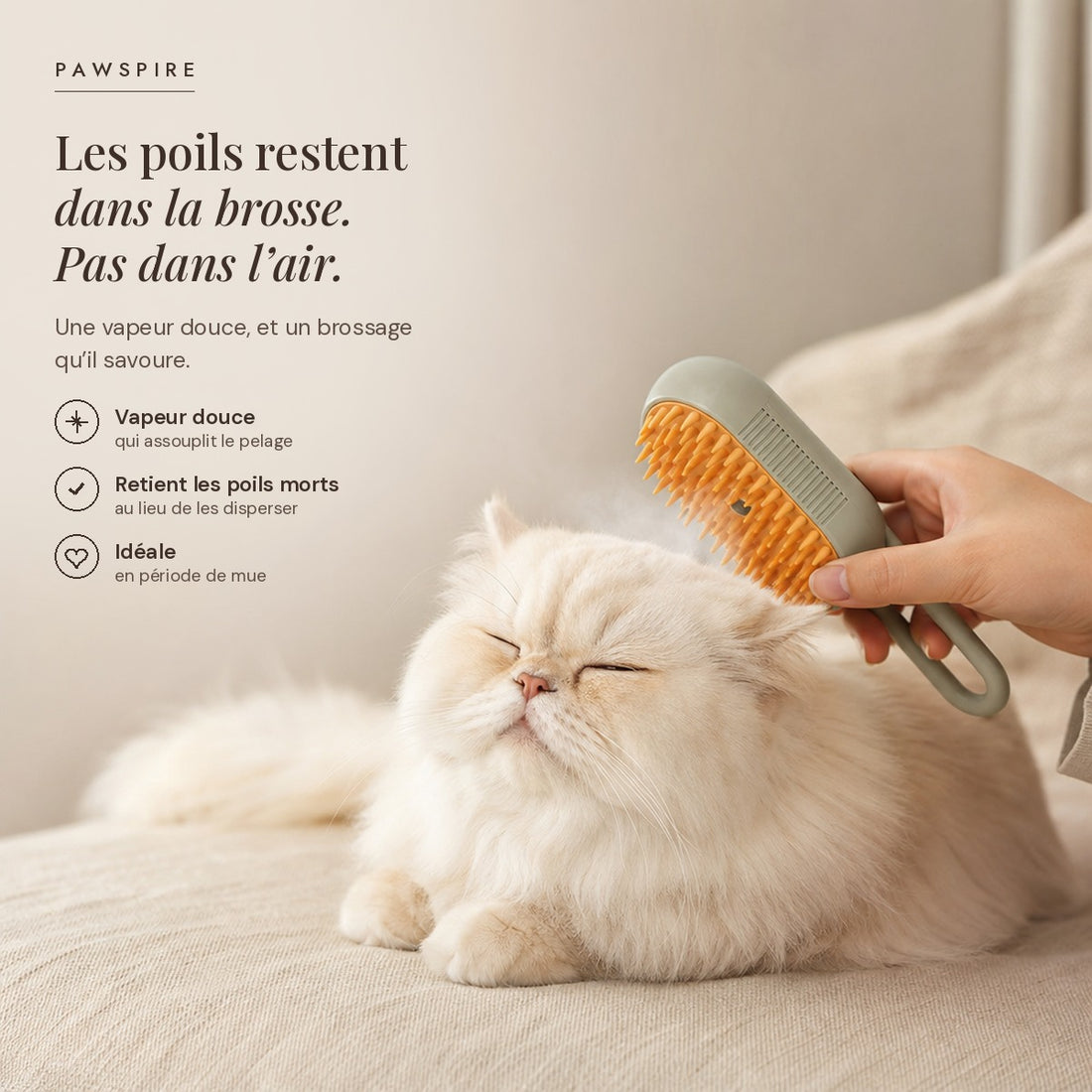 Brosse à vapeur Pawspire