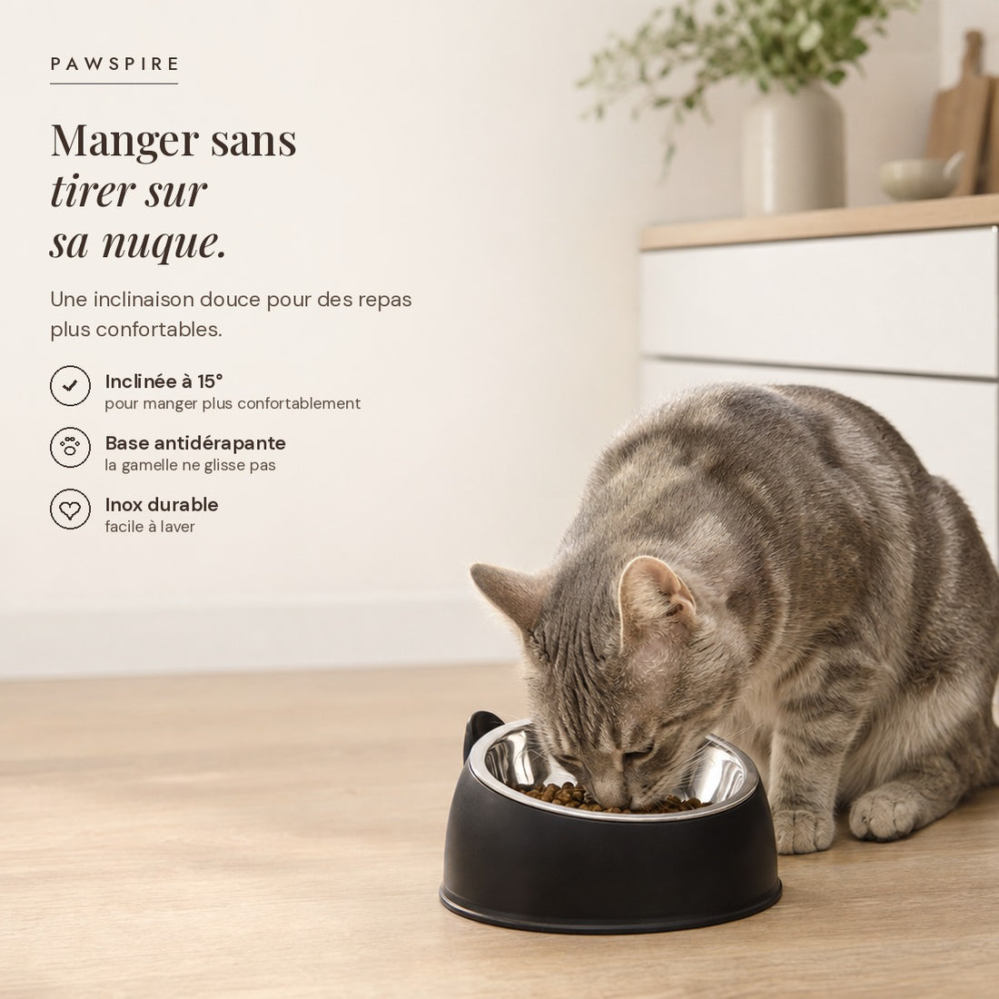 Gamelle inclinée à 15 degrés en inox Pawspire, image principale