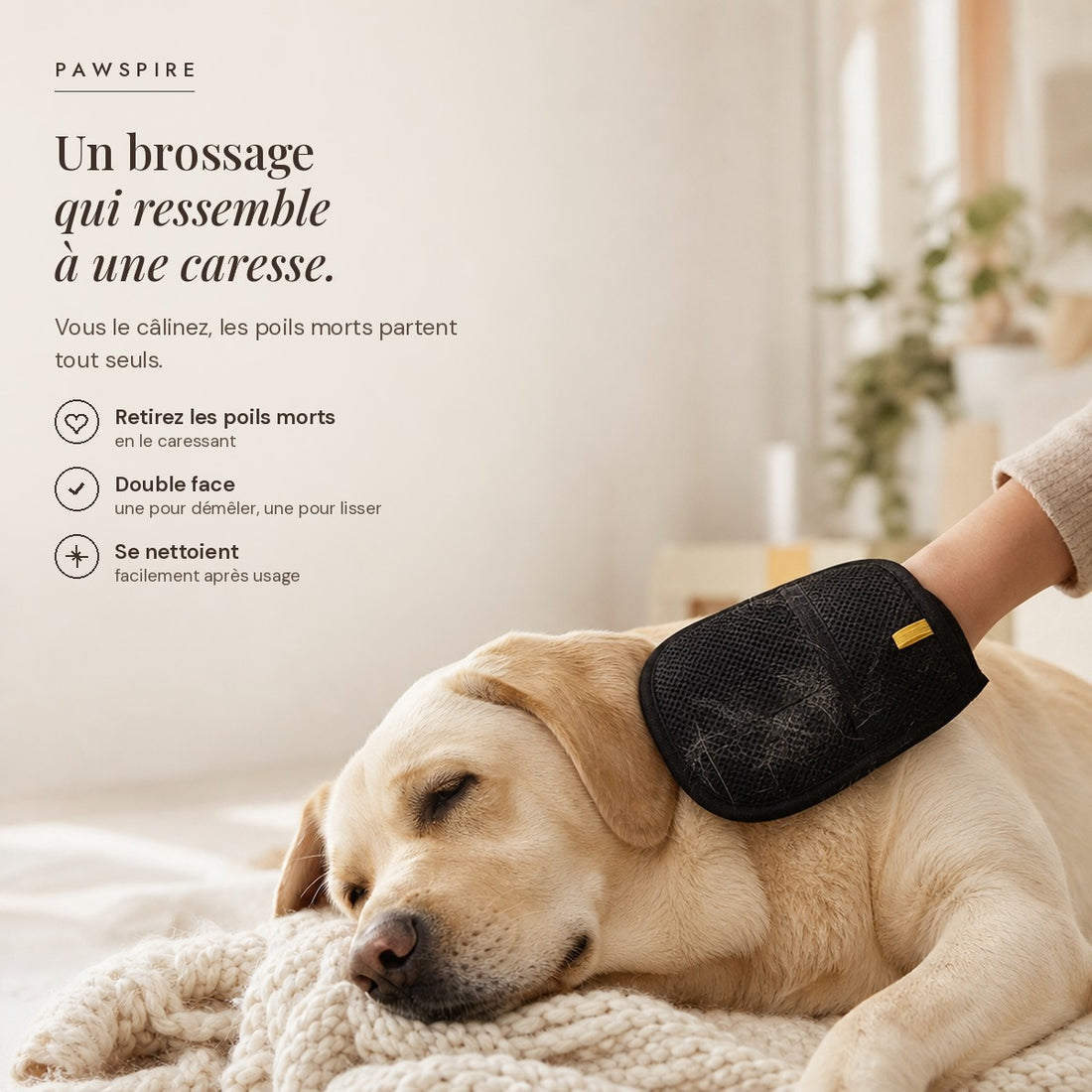 Gants de toilettage réutilisables Pawspire, image principale