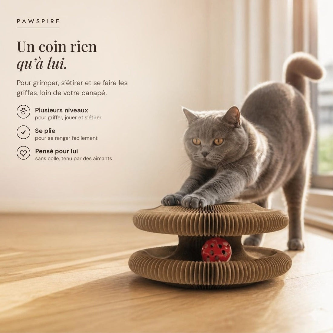 Griffoir pliable multi-niveaux Pawspire, image principale