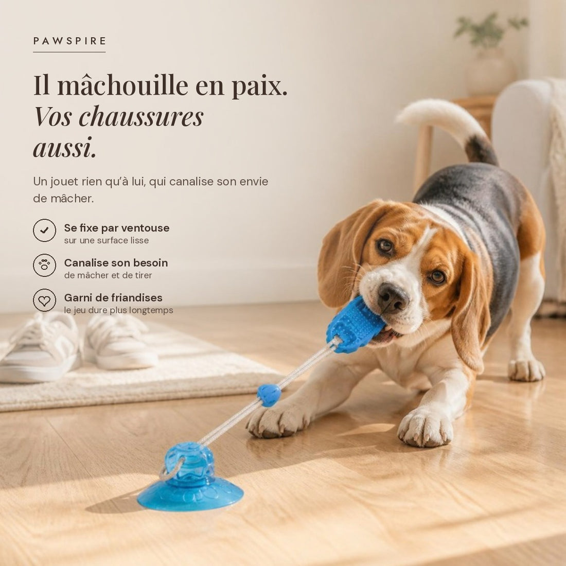 Jouet à mâcher à ventouse Pawspire pour chien, coloris bleu