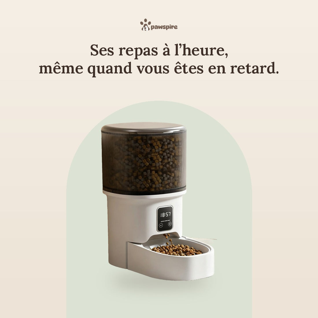 Distributeur automatique 4 L Pawspire