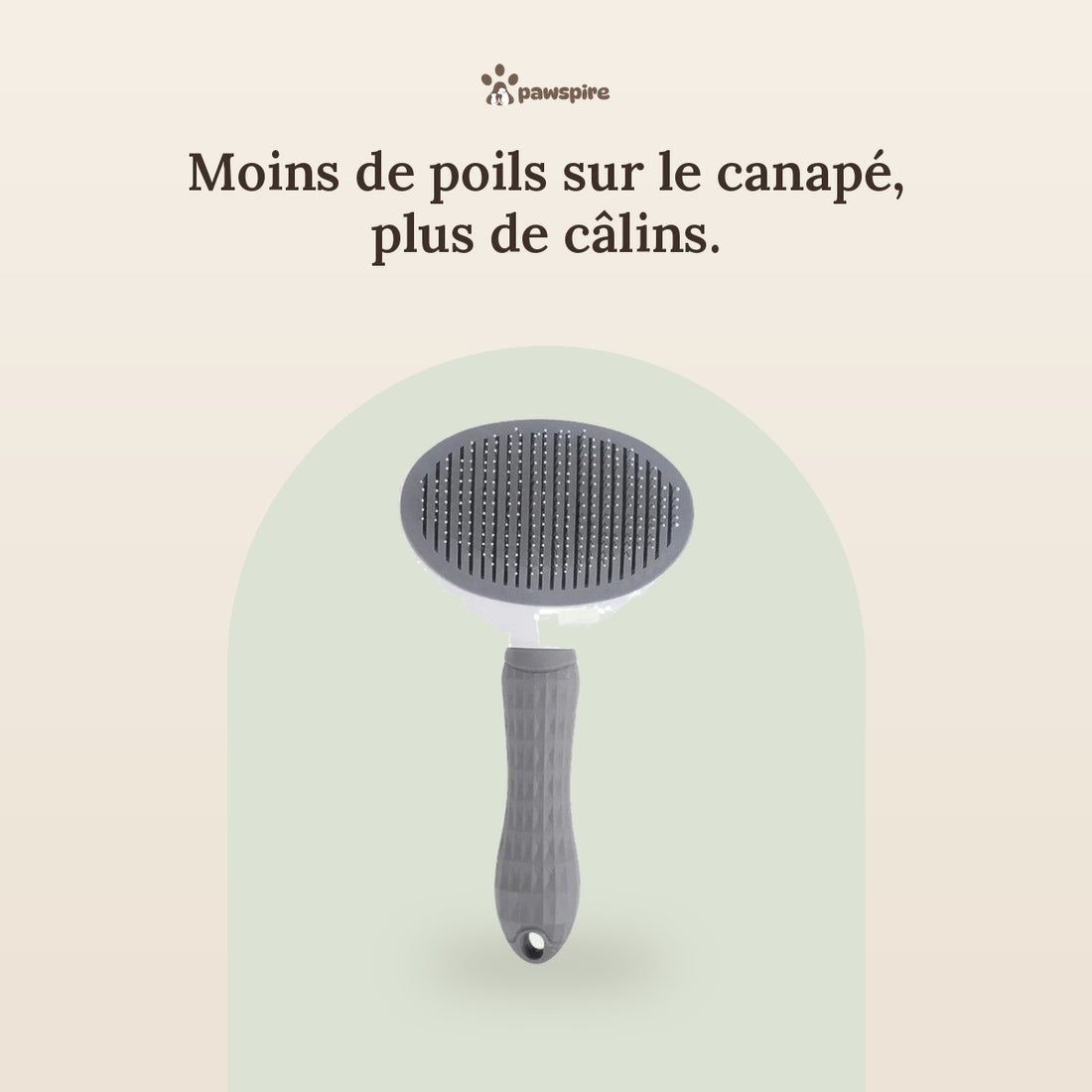 Brosse de toilettage autonettoyante Pawspire, image principale