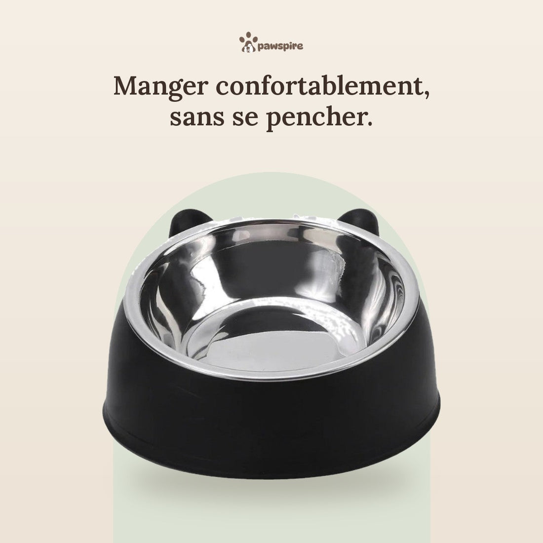 Gamelle inclinée à 15 degrés en inox Pawspire, image principale