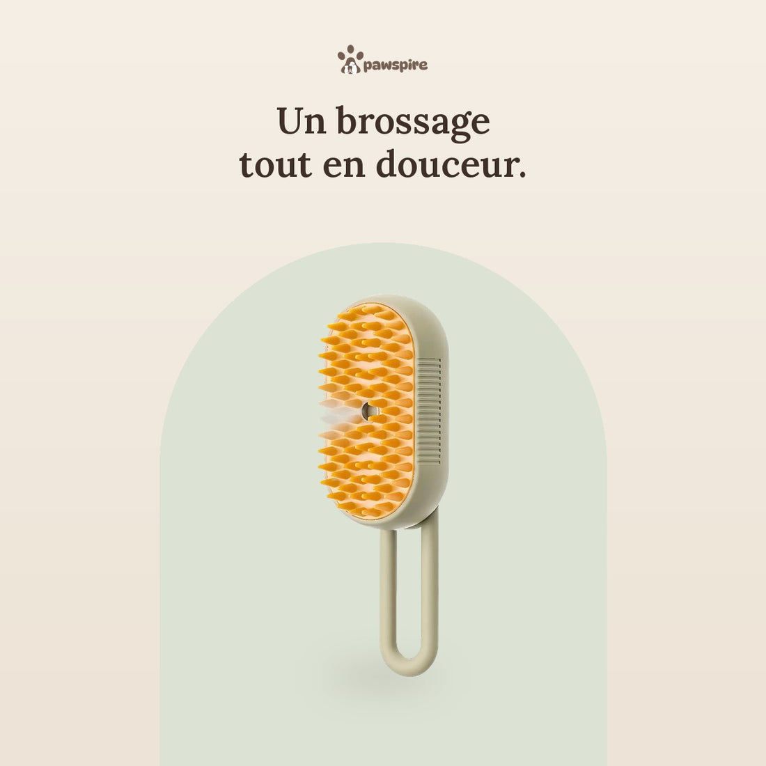 Brosse à vapeur Pawspire