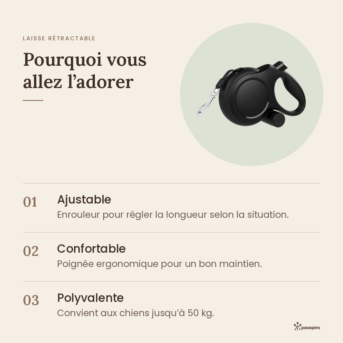 Laisse rétractable Pawspire : pourquoi vous allez l'adorer